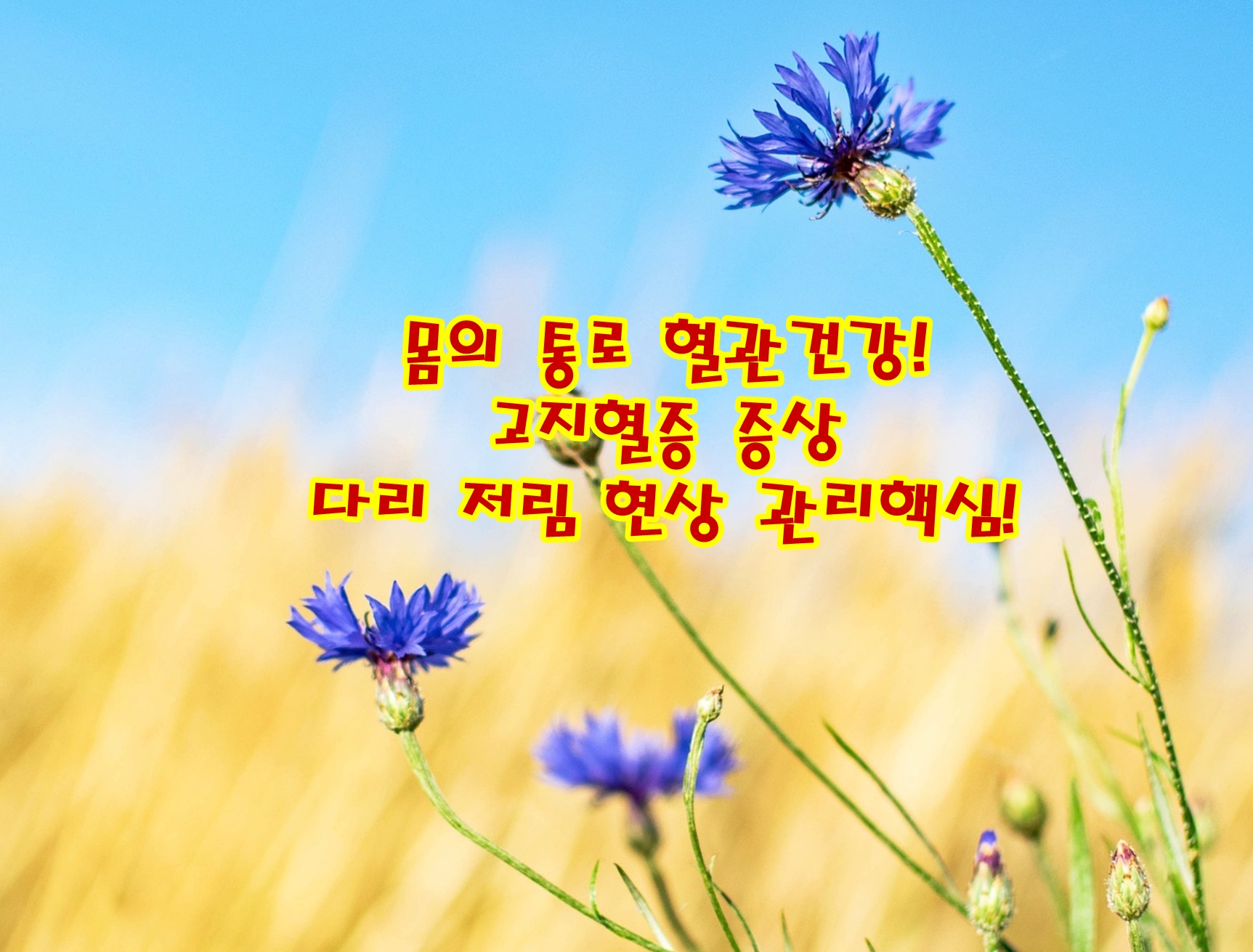 몸의 통로 혈관건강! 고지혈증 증상 다리 저림 현상 관리핵심!