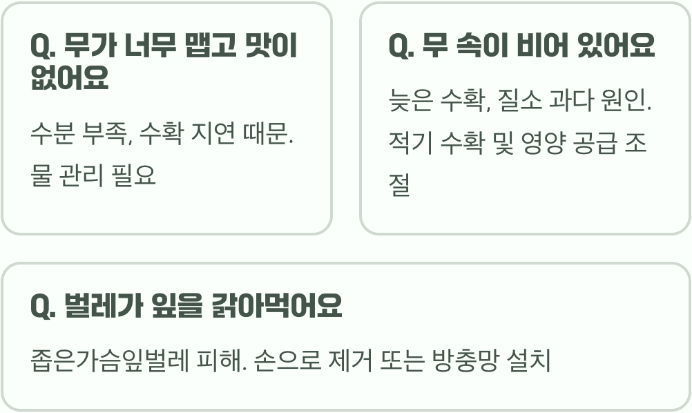 맛있는 김장무 키우기 A to Z (씨앗 파종부터 수확까지)