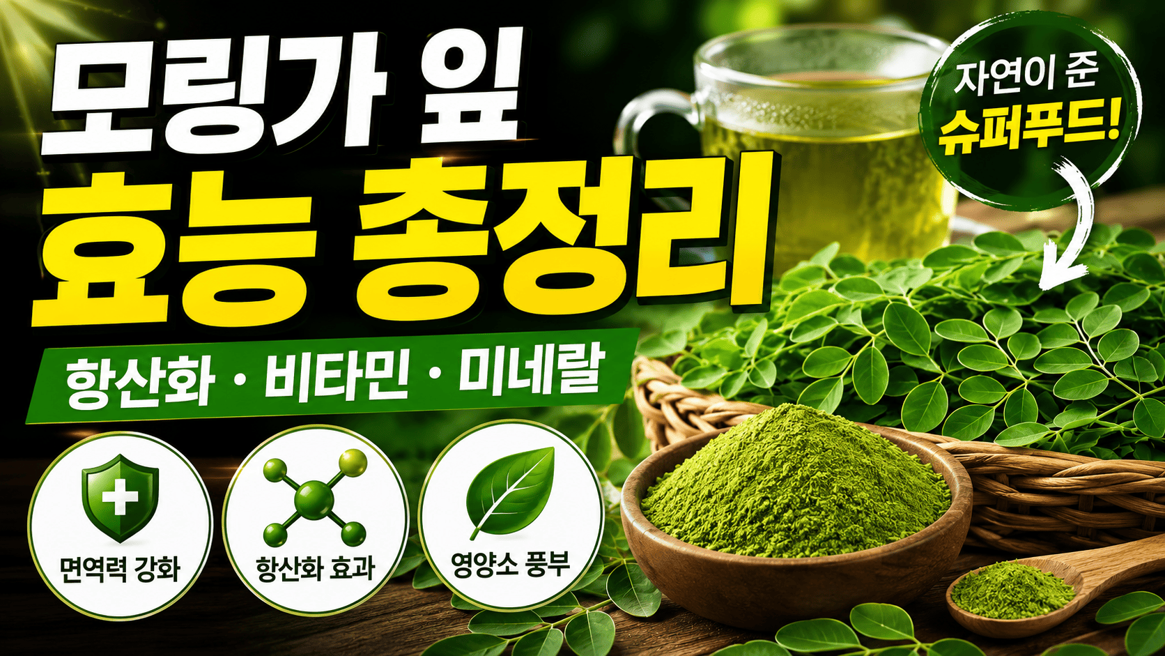 모링가 잎 효능 총정리 (항산화, 비타민, 미네랄)
