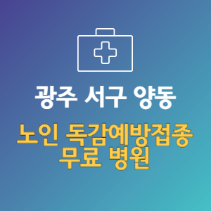 광주 서구 양동 노인 독감예방접종 무료 병원