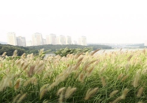 광교호수공원5