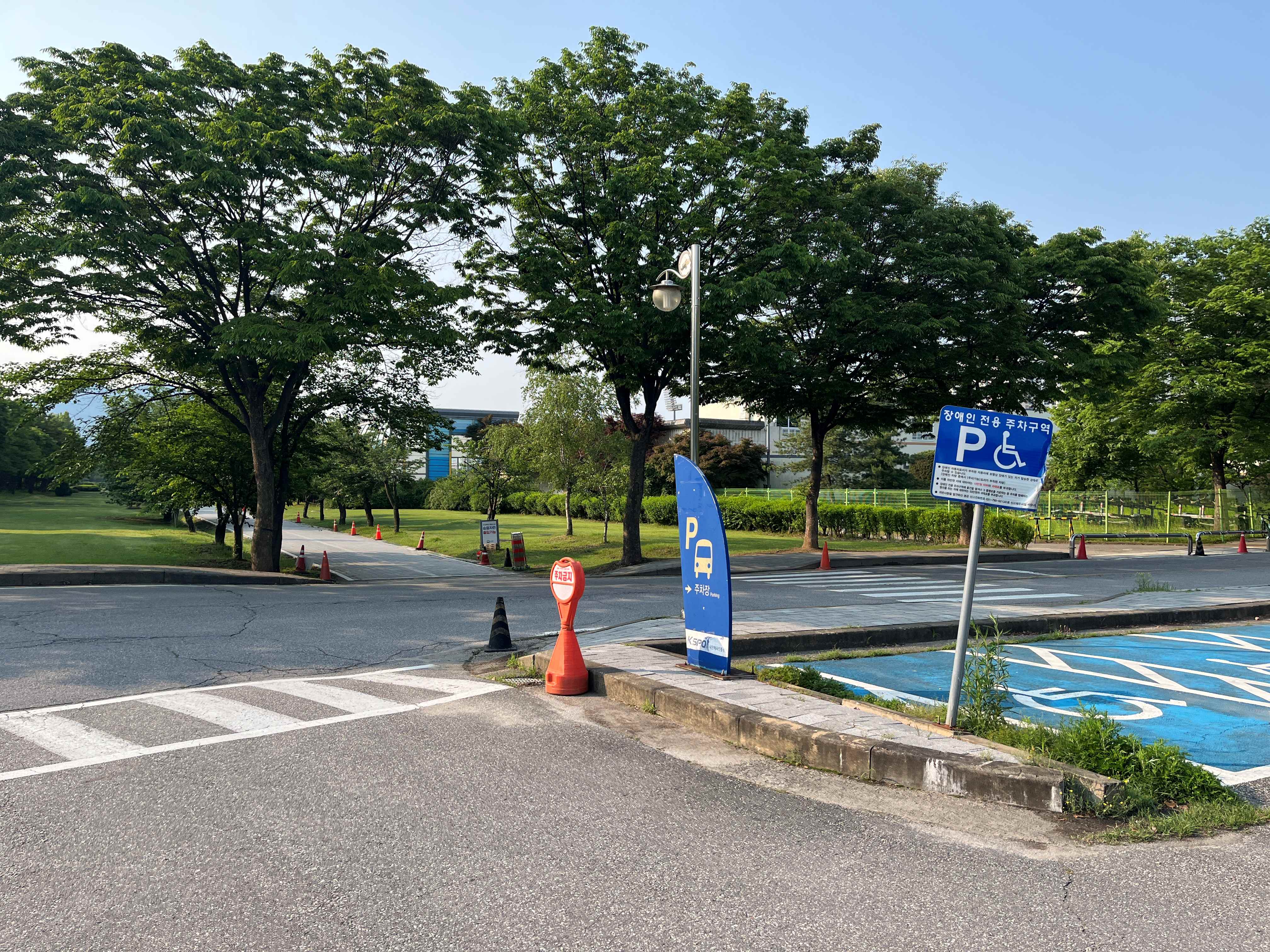 하남 미사경정공원 양귀비