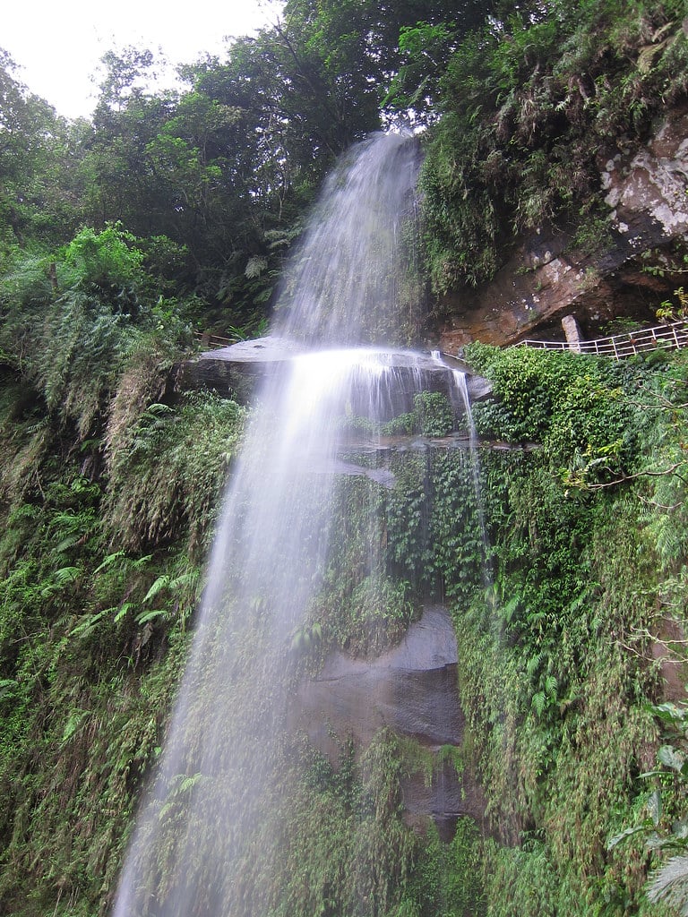 1월 대만 날씨 완벽 가이드! 여행 준비물 필수 팁