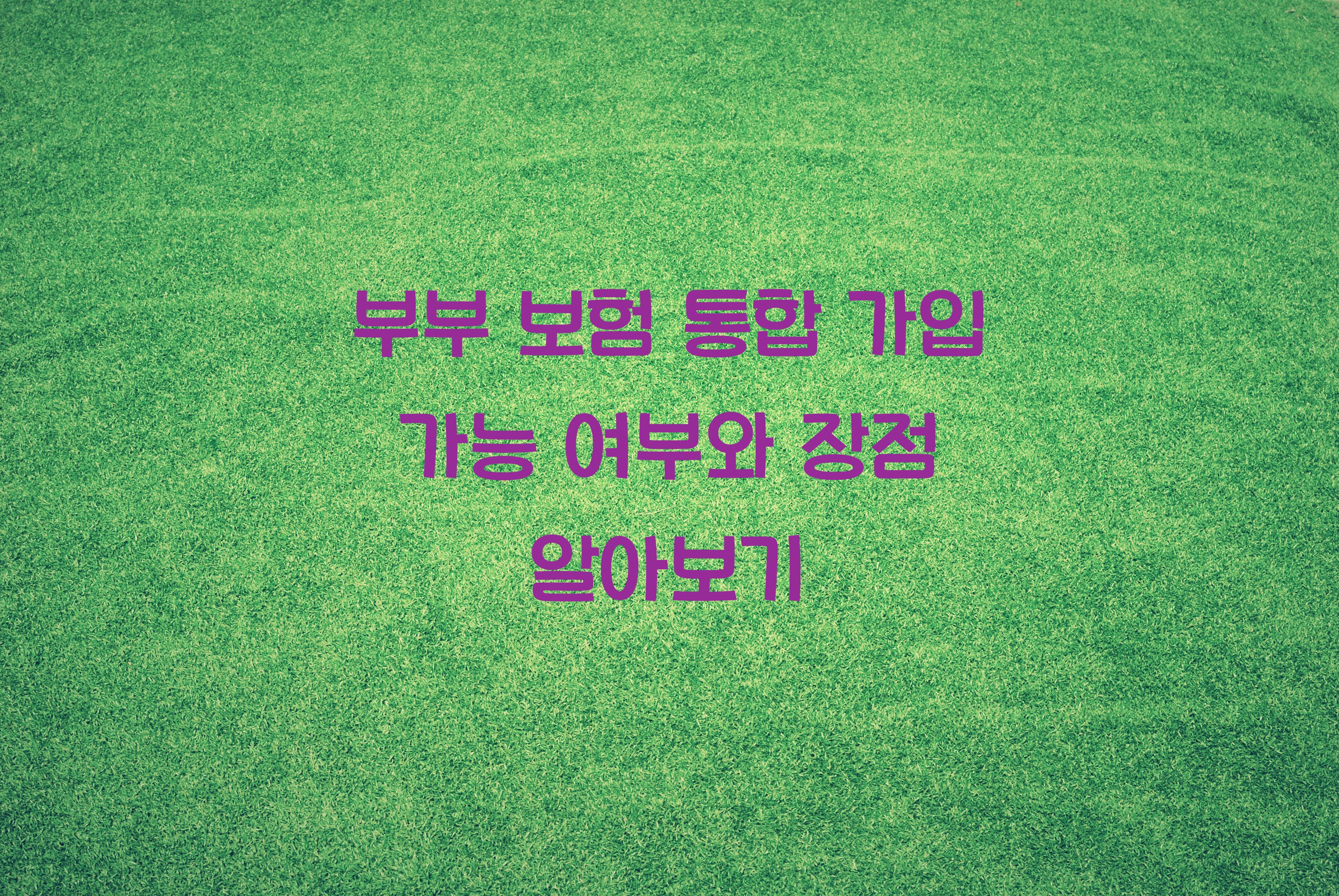 부부 보험 통합 가입 가능 여부