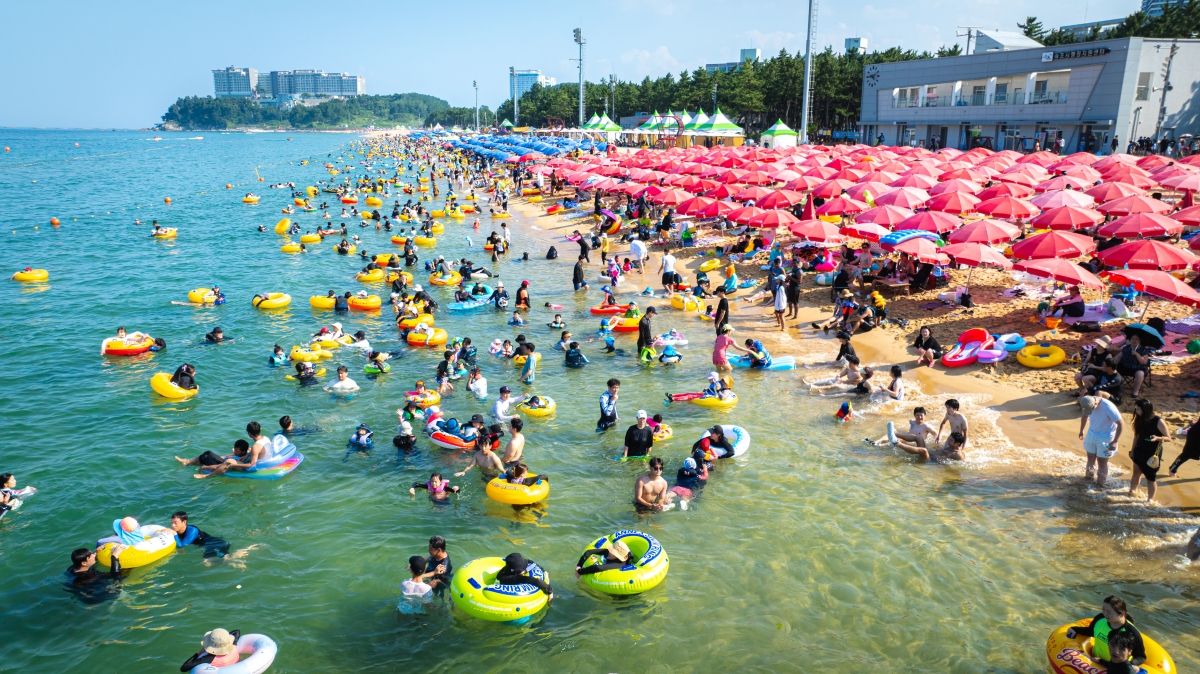 2026 속초 해수욕장 야간개장 기간 자매도시 주차장 파라솔 무료 혜택 및 축제 일정 총정리