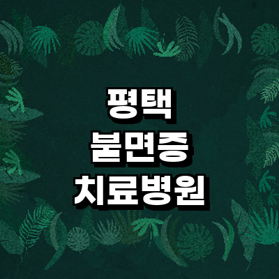 평택시 불면증
