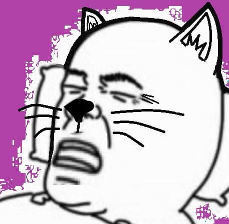 수컷 고양이 거세 수술
