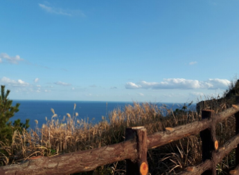 제주 성산항 우도 배시간표