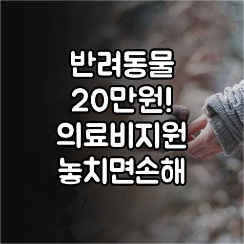 충청북도 중증장애인 반려동물 의료비 ..