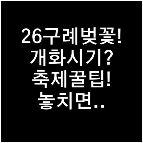 2026년 구례 벚꽃 여행 개화 시기..