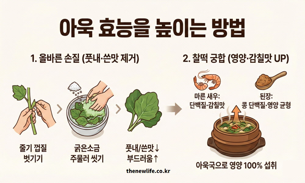 아욱의 풋내와 쓴맛을 제거하는 올바른 손질법(소금 씻기)과 마른 새우, 된장을 활용하여 영양과 감칠맛을 극대화하는 조리 비법을 설명한 인포그래픽