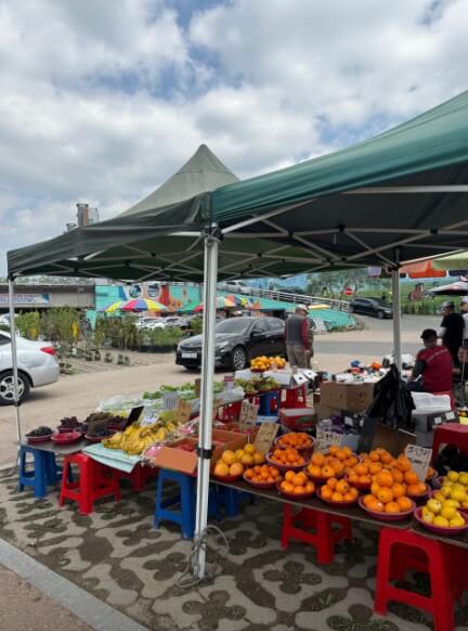 영천시 대중교통 무료 70세 이상 어르신 복지 무임교통카드 교통비 지원