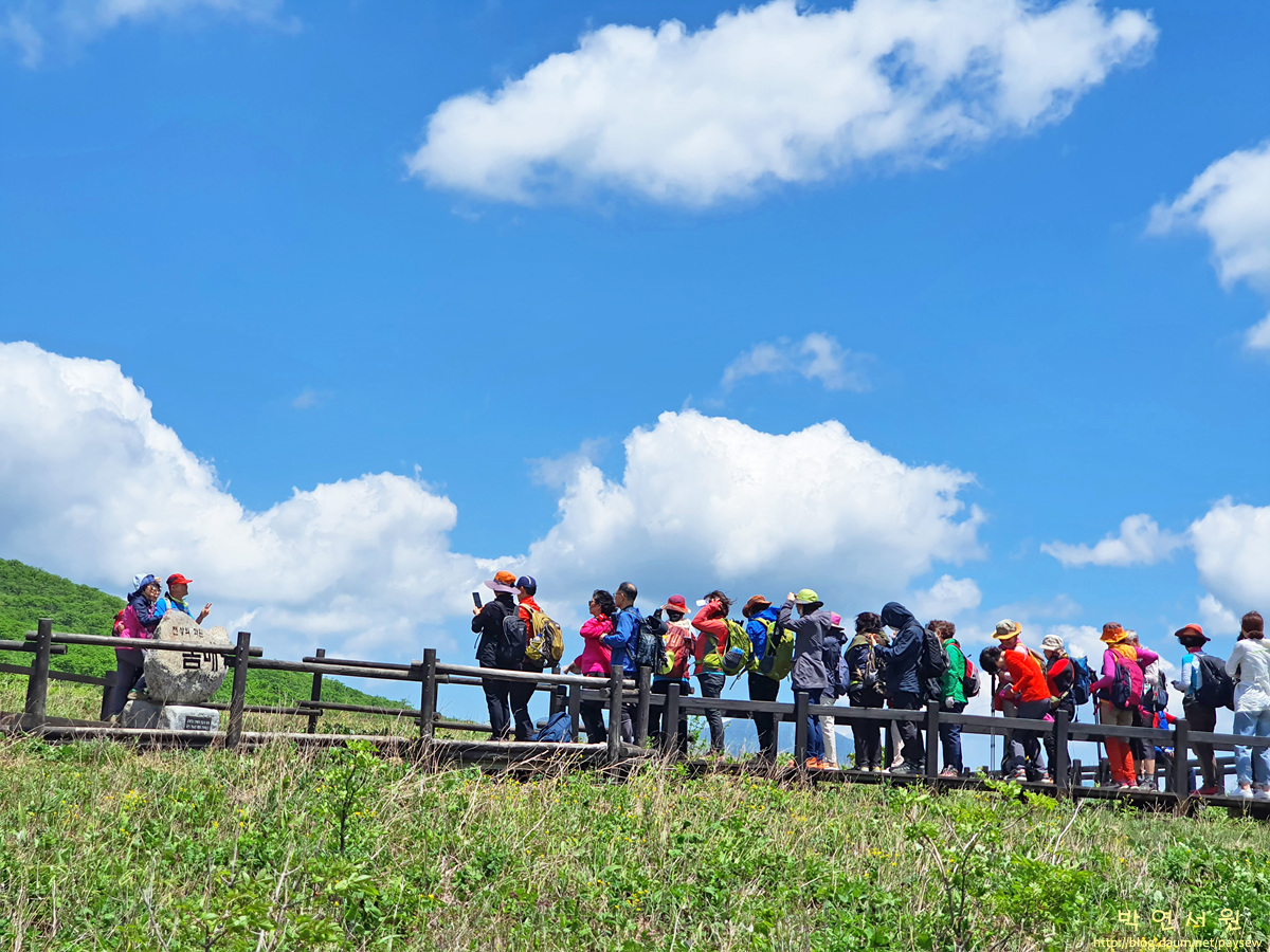 곰배령 예약하기