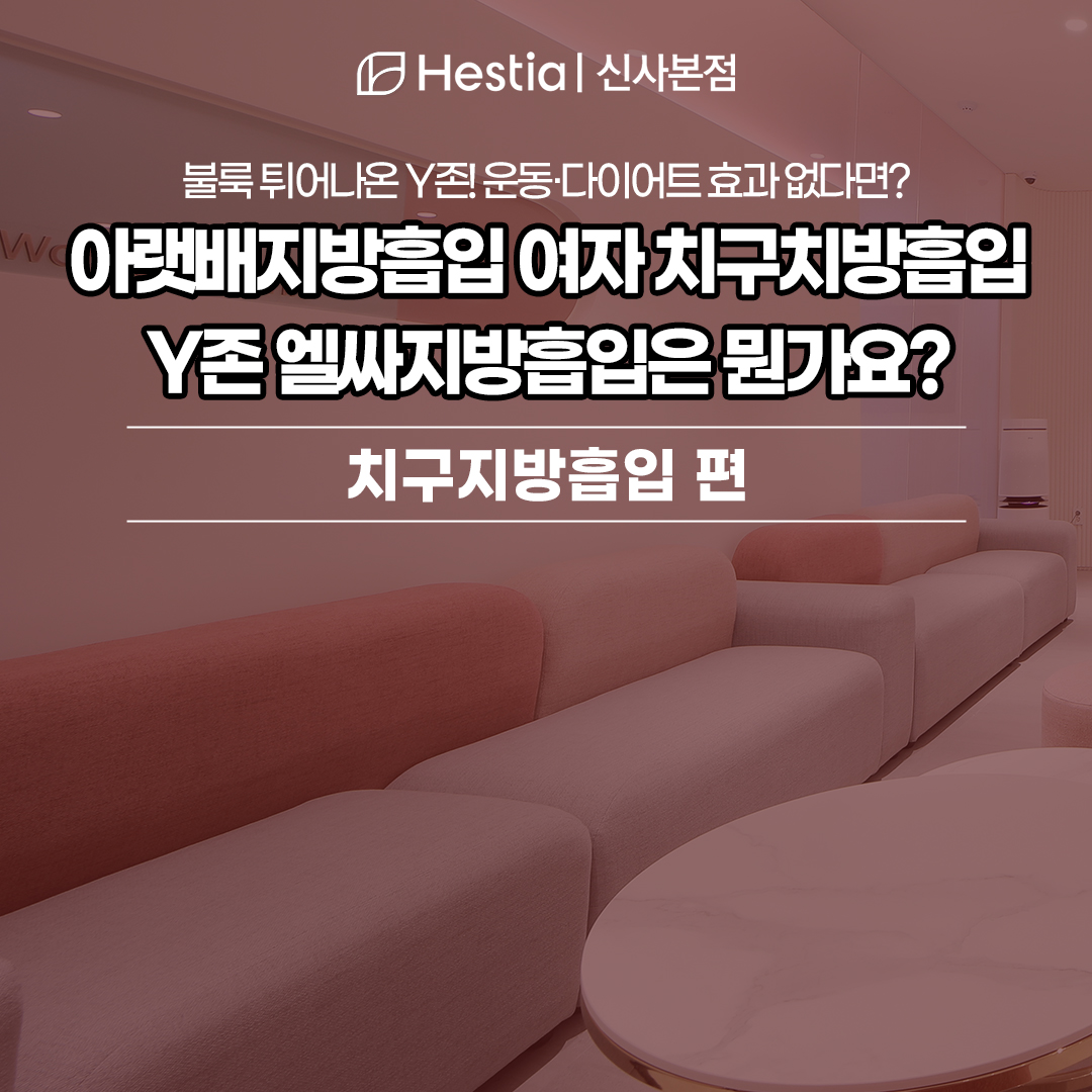 아랫배지방흡입 여자 치구치방흡입도 되나요? Y존 엘싸지방흡입은 뭔가요?