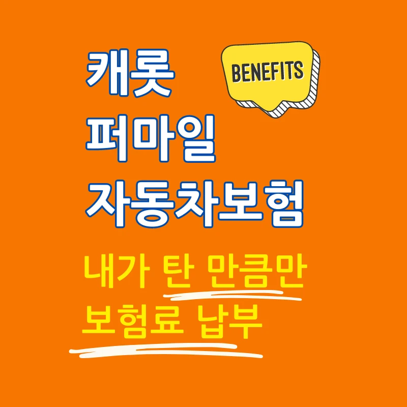 캐롯 퍼마일 자동차보험 탄 만큼만 보험료 납부