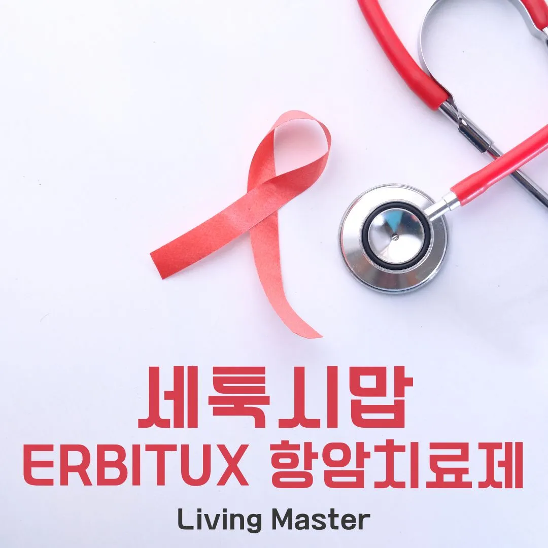 세툭시맙(Erbitux) 항암 치료제