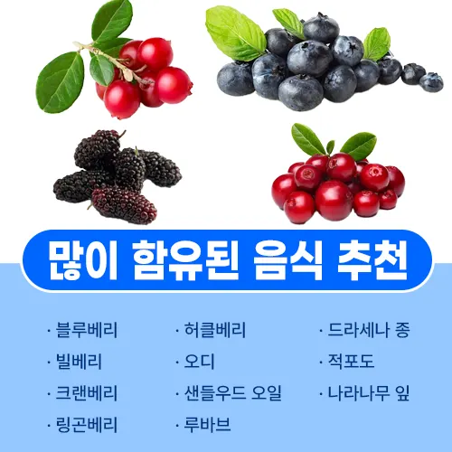 프테로스틸벤 추천