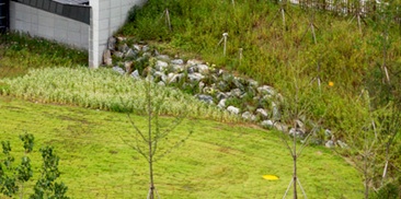 국립세종수목원