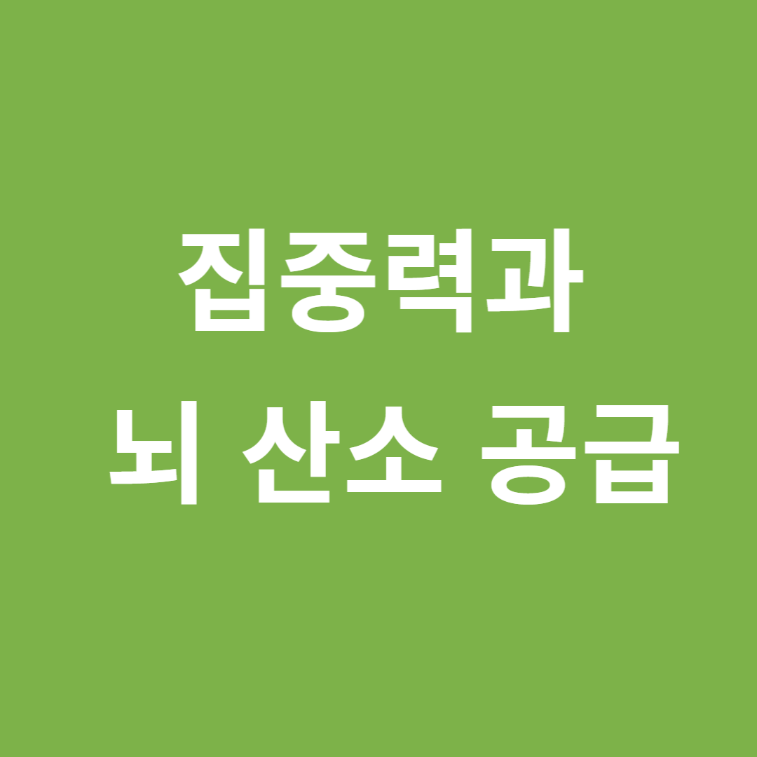 집중력과 뇌 내 산소 공급의 관계
