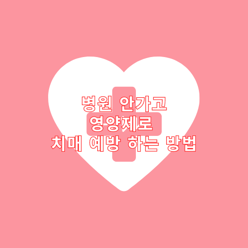 병원 안가고 영양제로 치매 예방 하는 방법