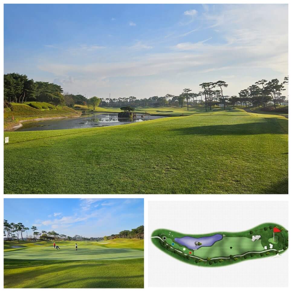 골프장 경험담 당진 파인스톤cc 대형 멋진 정원에서 환상의 골프 운동