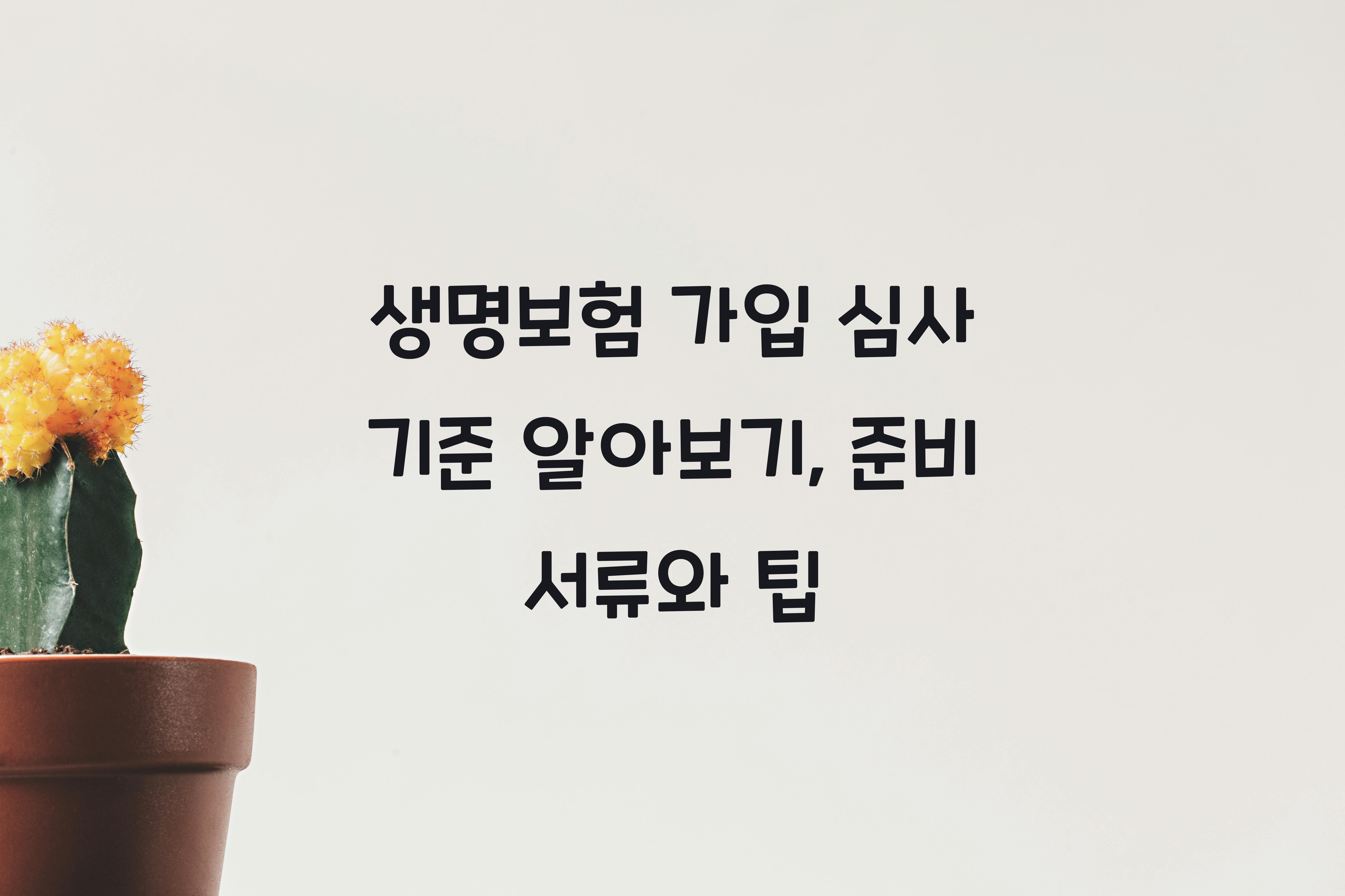 생명보험 가입 심사 기준