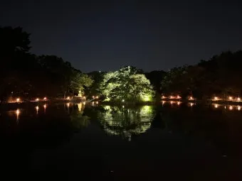 창경궁 야간개장 물빛연화 창경궁 야간개장 인터넷예매 예매 요령_8