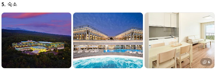 제주 쏠라티·카니발 투어 비교! 기사 포함 제주 승합차투어 요금·코스·후기 총정리