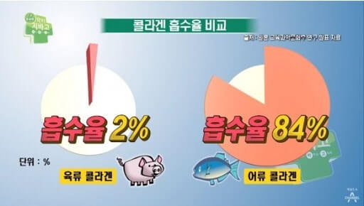 콜라겐이란?