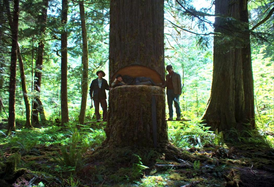 기차의 꿈 영화 리뷰