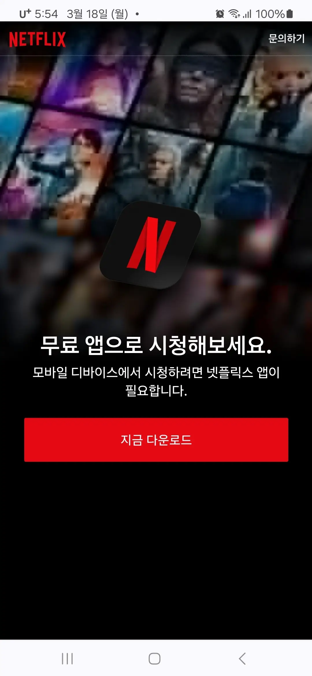지금 다운로드