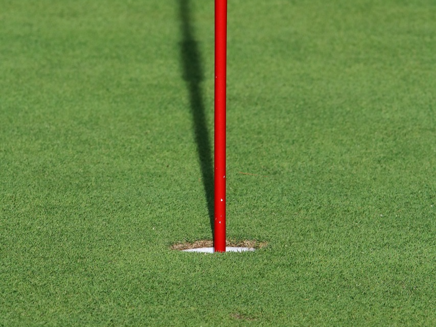 파크골프 국내 현황 및 기본 규칙