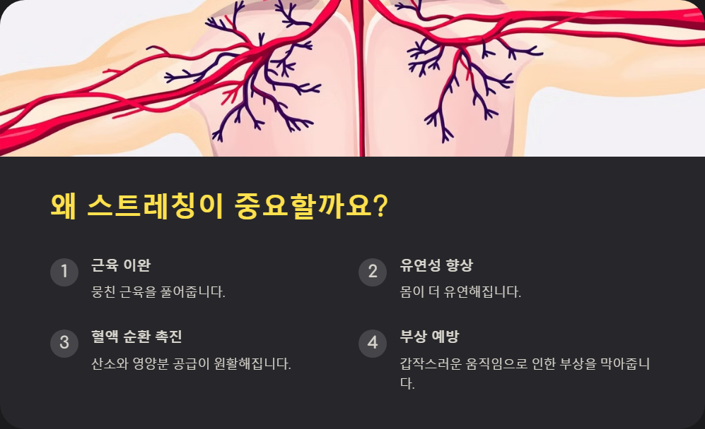 운동 전후 스트레칭 필수 부상 예방 루틴