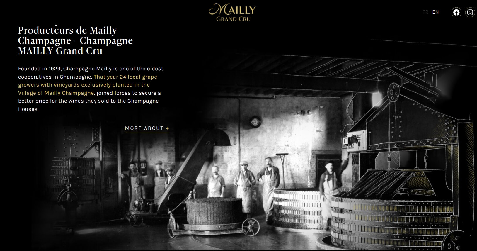 [France] Mailly Grand Cru Extra Brut, Montagne de Reims, Champagne｜마이 그랑 크뤼 엑스트라 브뤼, 몽타뉴 드 랭스, 샹파뉴