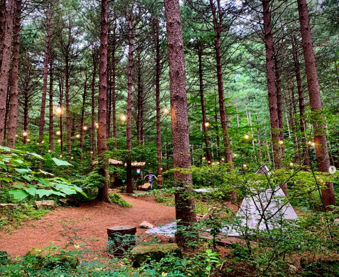 백두대간 봉자페스티벌