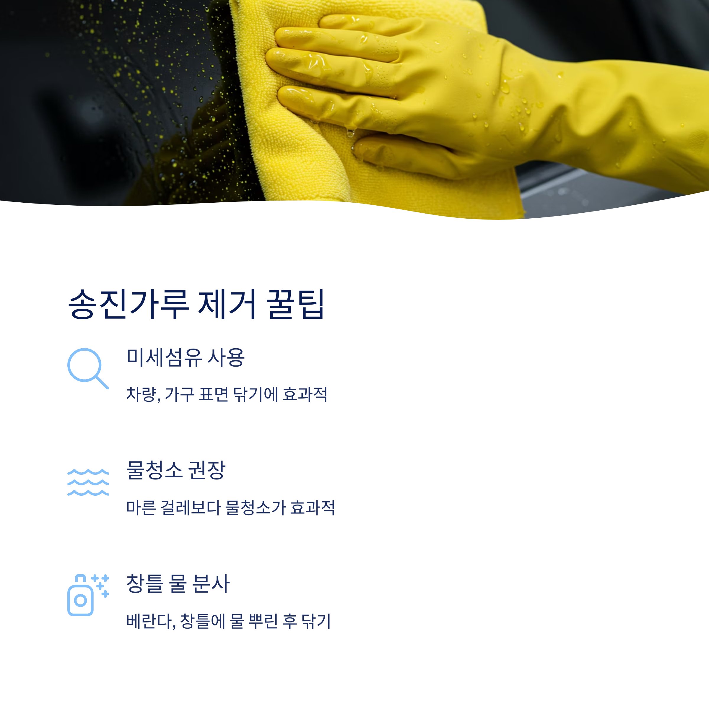 송진가루 제거 꿀팁