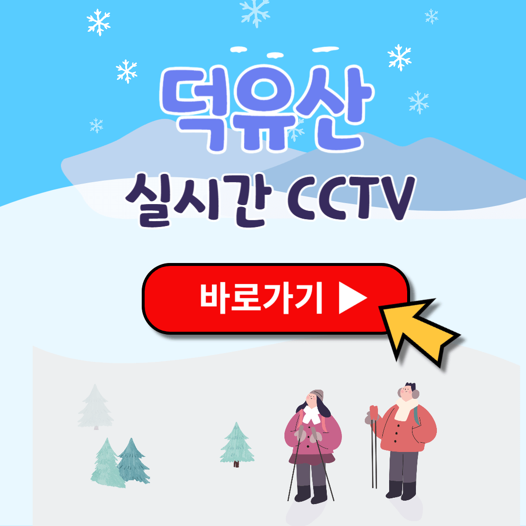 덕유산 실시간 cctv 통제구역 확인하기