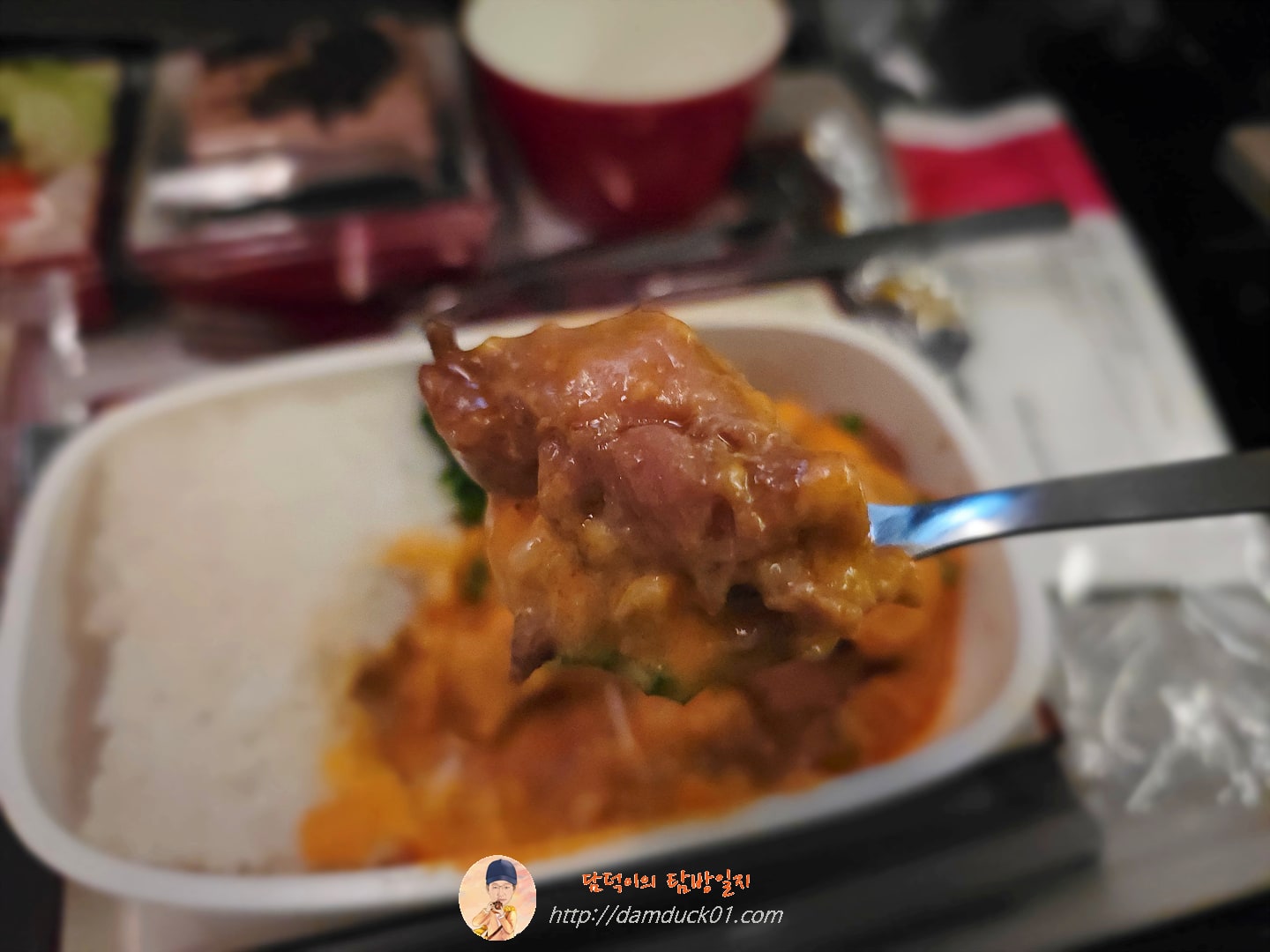 아시아나항공 기내식 치킨 커리