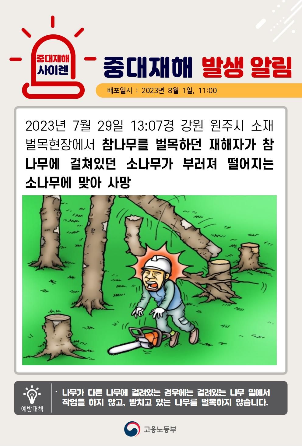 벌목 중 떨어지는 소나무에 맞음
