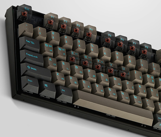 레오폴드 FC900RBT MX2A 그라파이트 블루 스위치