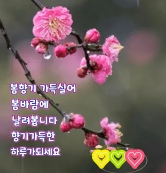 아침 인사 문자 날씨 변화에 맞춘 안부 문장 하루를 여는 표현_18