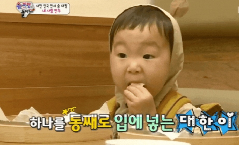 대한민국만세-삼둥이-만두