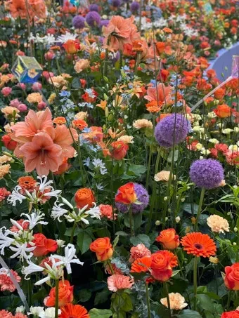 2025 고양국제꽃박람회 일정 사전예약 할인_14