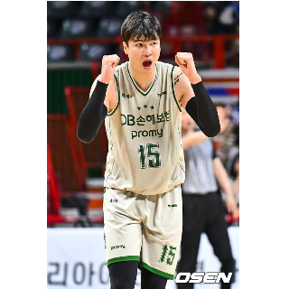 황정음-김종규-농구선수