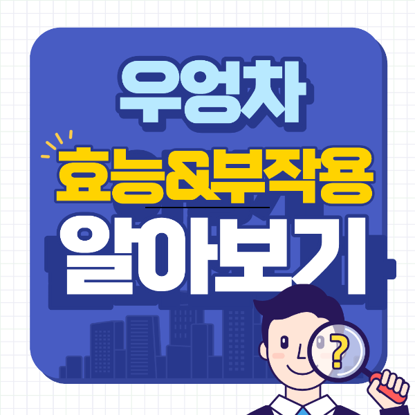 우엉차 효능 부작용 먹는방법