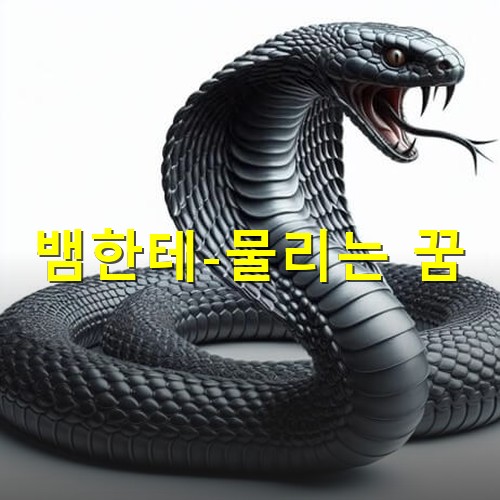 검정색-코프라가-혀를-날름거리며-무섭게-바라보는-모습
