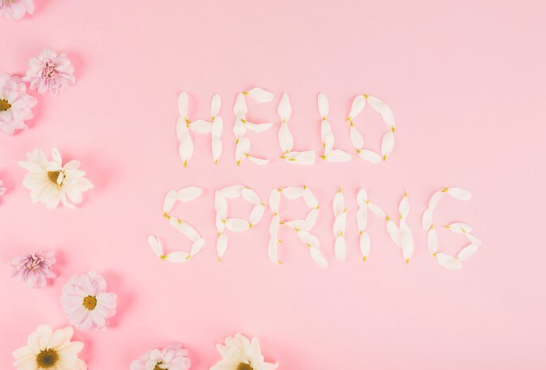 울산 봄꽃 축제 일정 &amp; 벚꽃 명소 개화시기 &amp; 교통편 팁