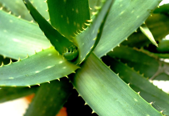 기미없애는방법