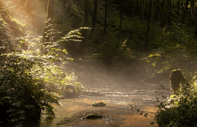 무더운 여름 인사말