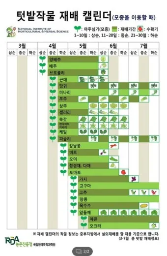 가을 텃밭 작물 추천 상추 열무 시금치 쌈채소 재배법_2